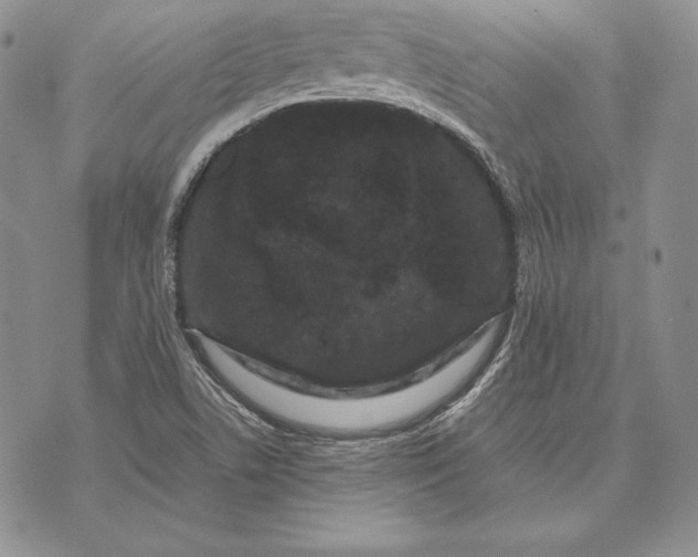 X0000072501506200608041428