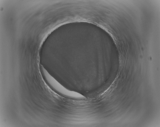 X0000072501508200608041428