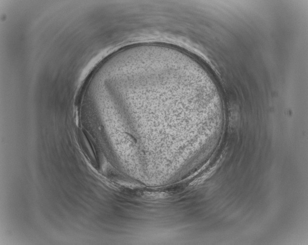 X0000072501509200608041428