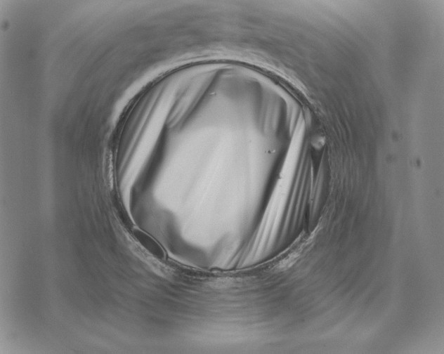 X0000072501510200608041428