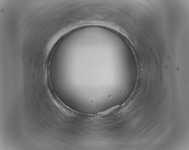 X0000072501511200608041428