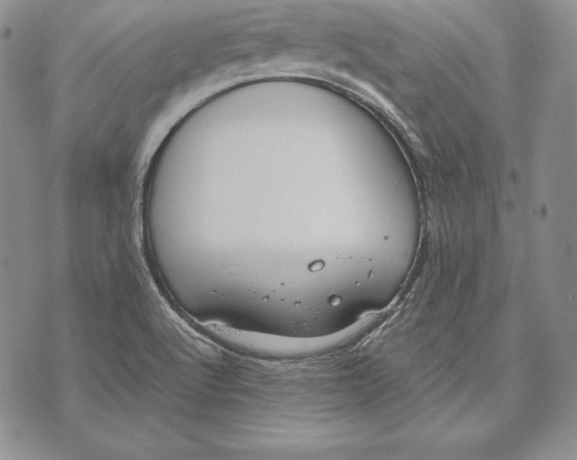 X0000072501512200608041428