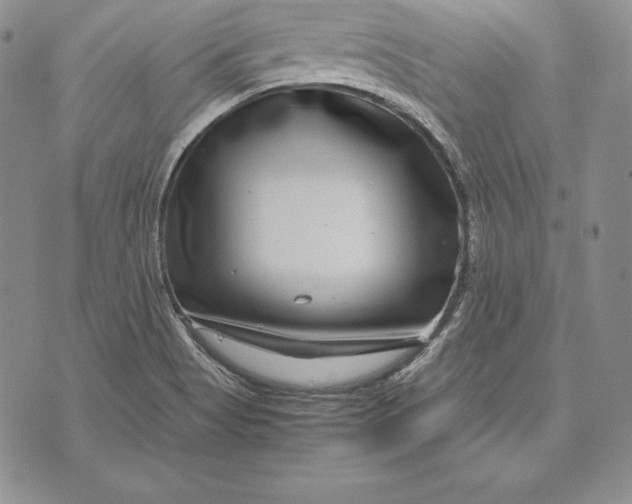 X0000072501513200608041428