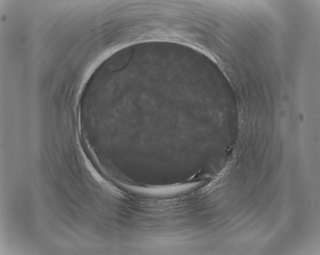 X0000072501515200608041428