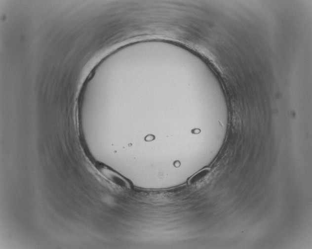 X0000072501516200608041428