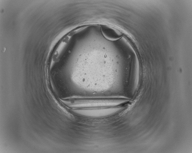 X0000072501517200608041428