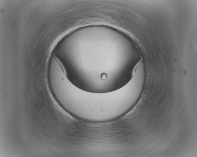 X0000072501518200608041428