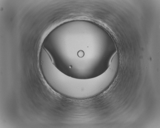 X0000072501520200608041428