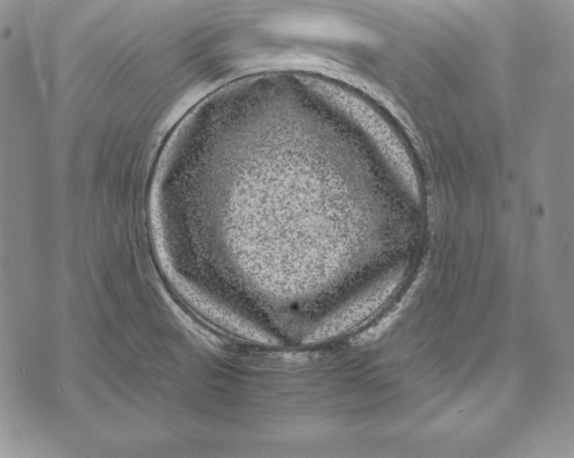 X0000072501521200608041428