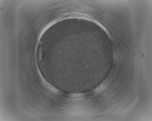 X0000072501522200608041428