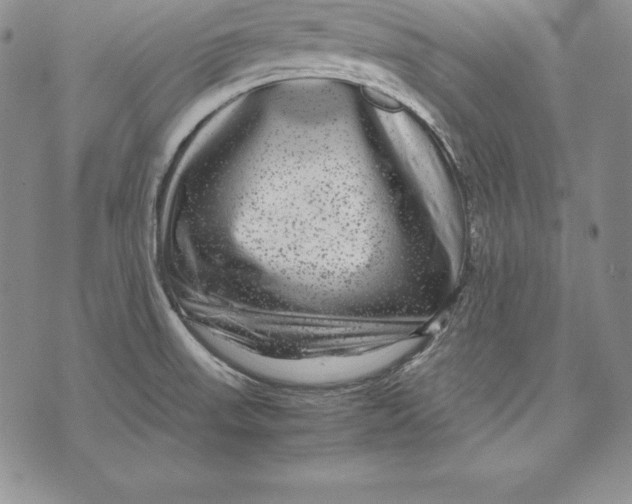 X0000072501523200608041428