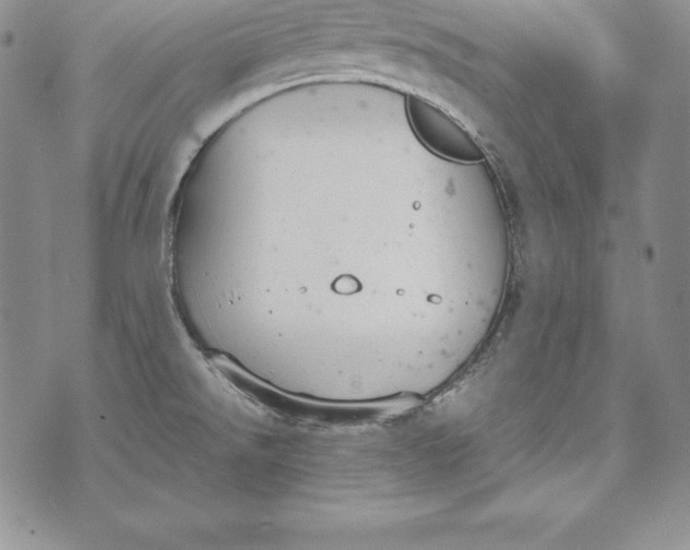 X0000072501526200608041428