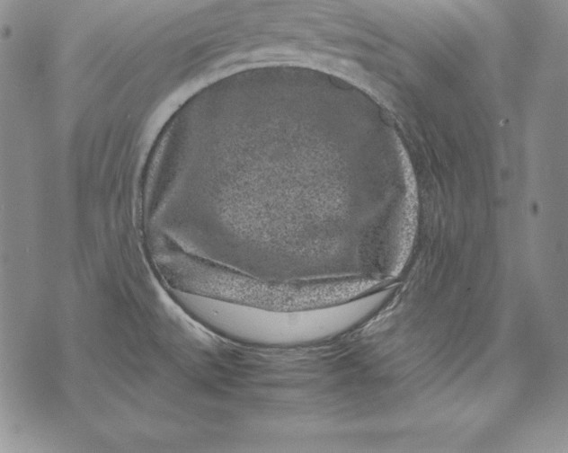 X0000072501527200608041428