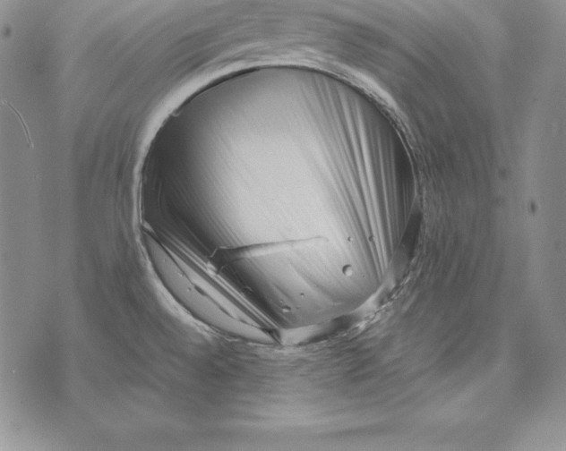 X0000072501528200608041428