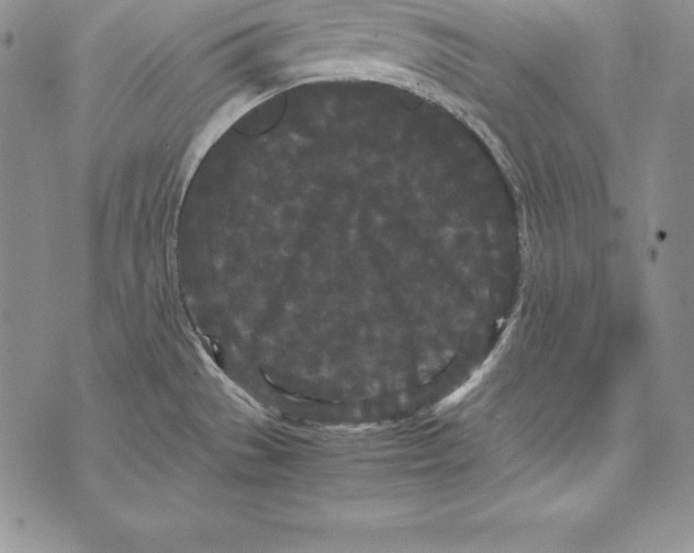 X0000072501529200608041428