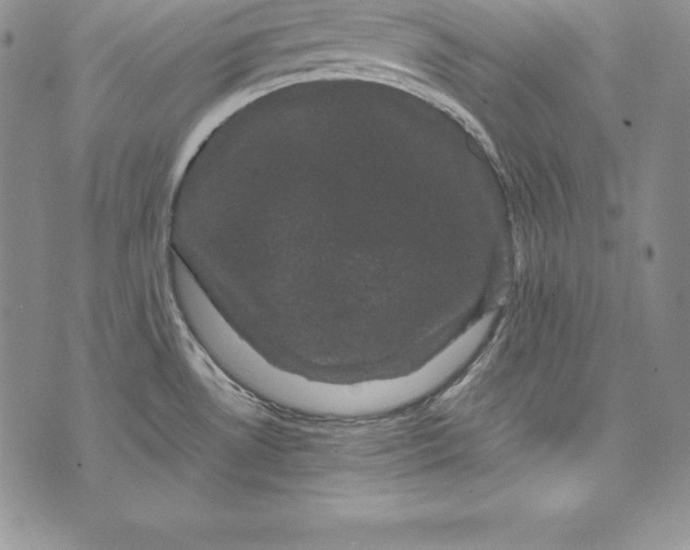 X0000072501530200608041428