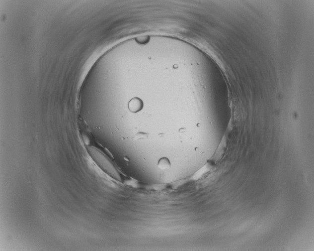 X0000072501532200608041428