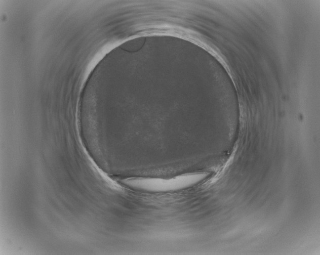 X0000072501533200608041428