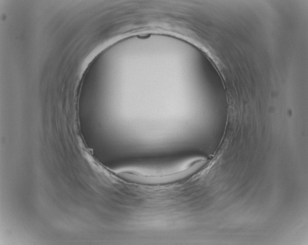 X0000072501534200608041428