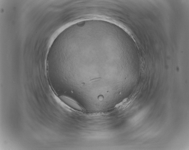 X0000072501535200608041428