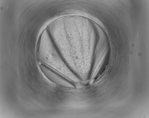 X0000072501536200608041428