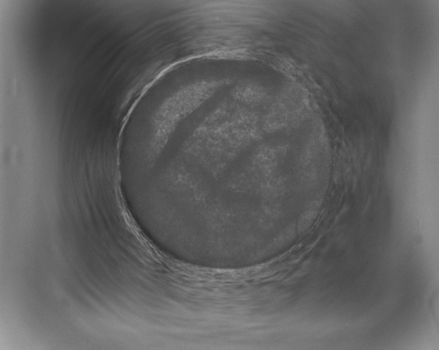 X0000072500002200608111640