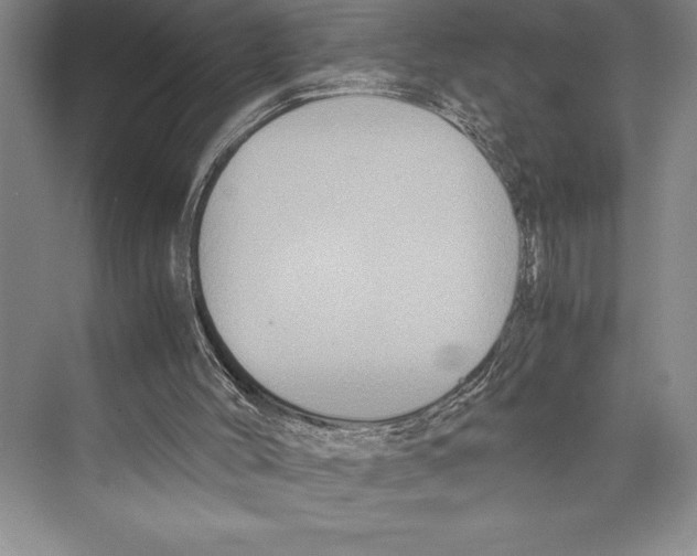 X0000072500004200608111640