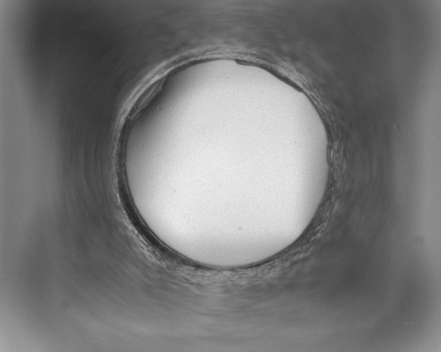 X0000072500007200608111640