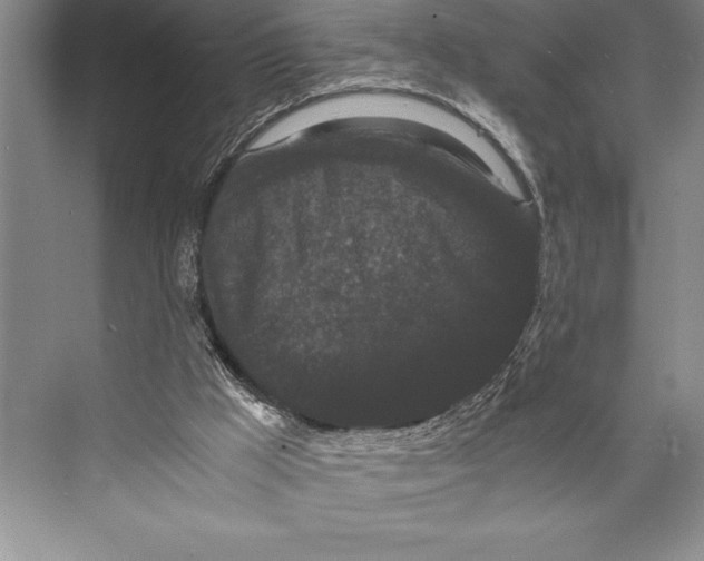 X0000072500009200608111640