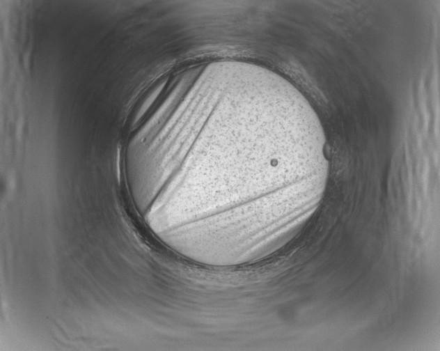 X0000072500014200608111640