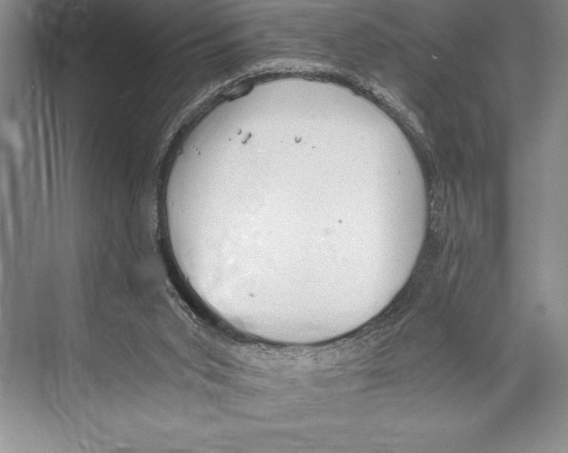 X0000072500015200608111640