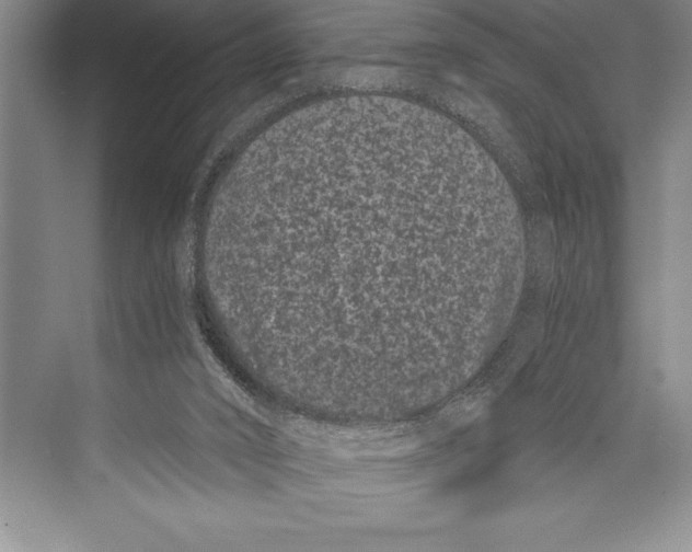 X0000072500016200608111640