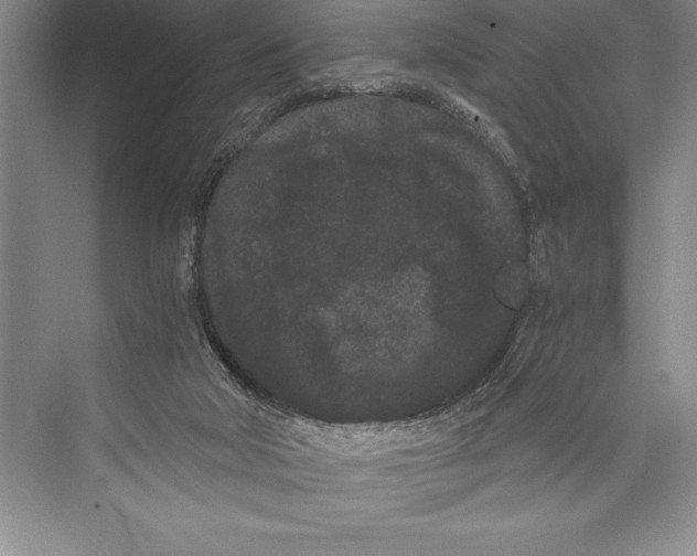 X0000072500018200608111640