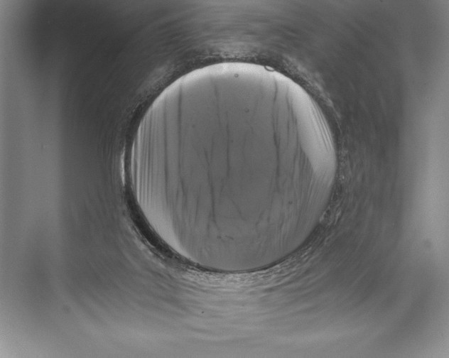 X0000072500019200608111640