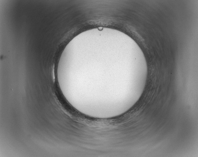 X0000072500020200608111640