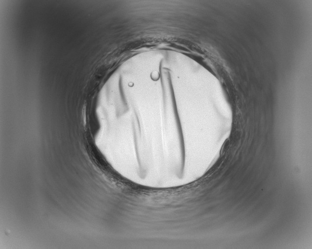 X0000072500021200608111640