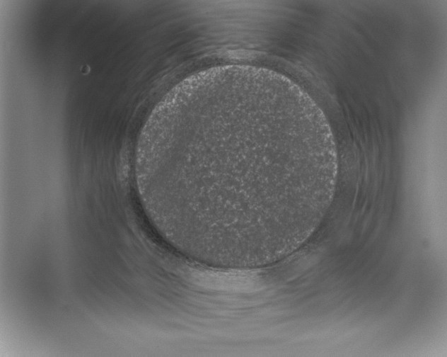 X0000072500032200608111640