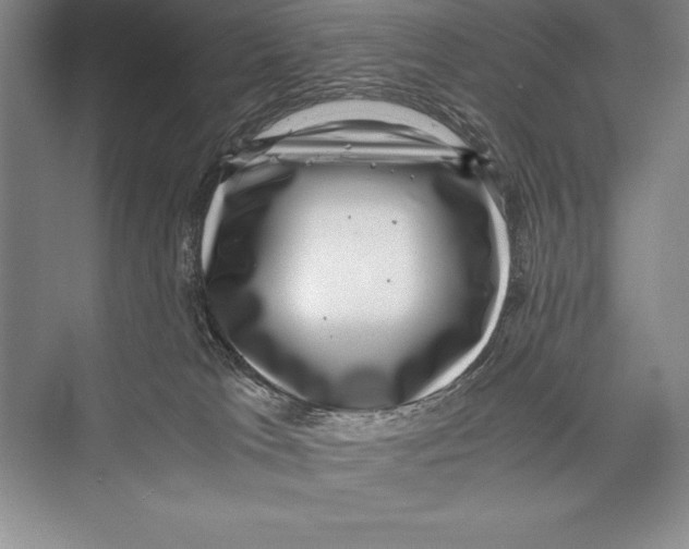 X0000072500037200608111639