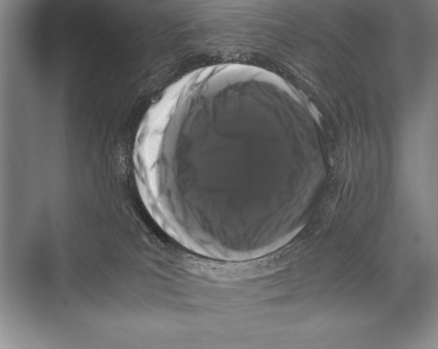 X0000072500039200608111639