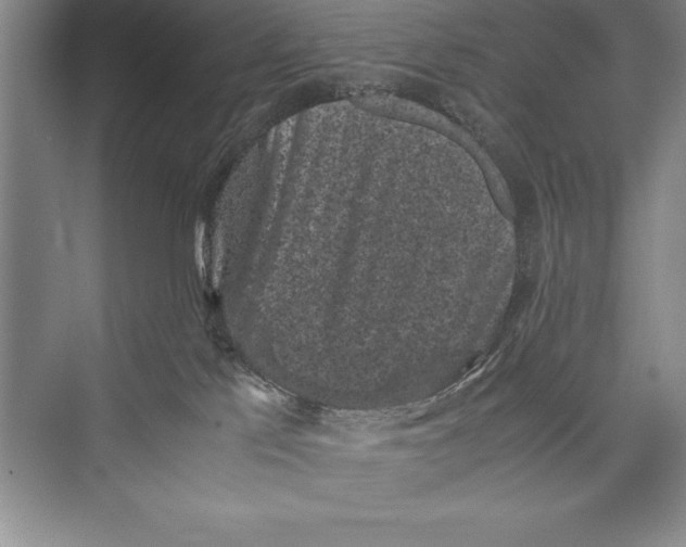 X0000072500041200608111639