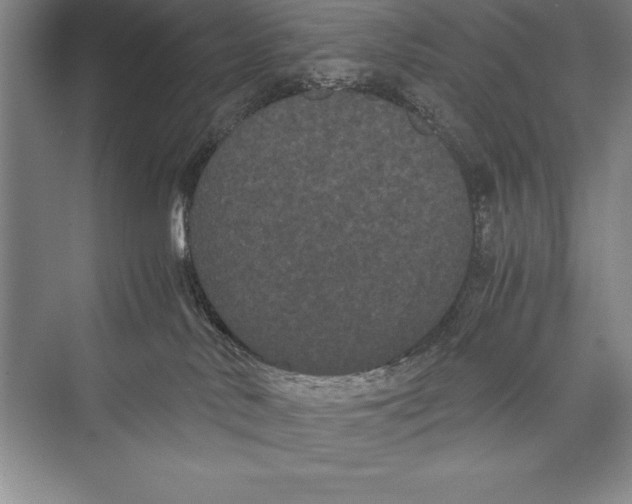 X0000072500042200608111639