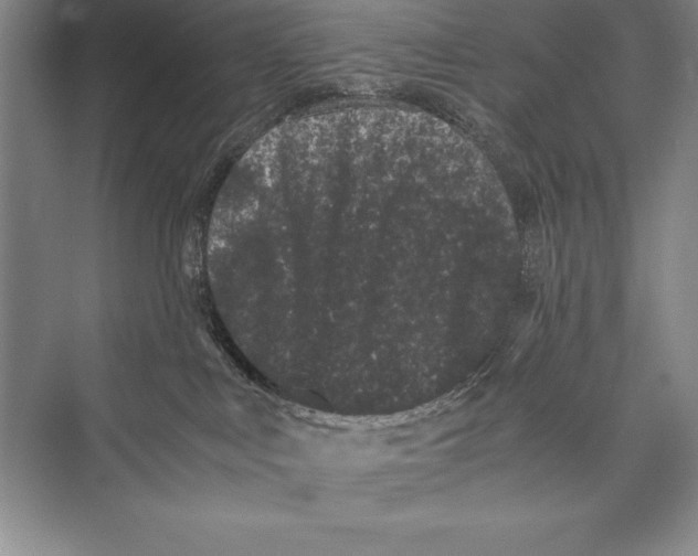 X0000072500043200608111639