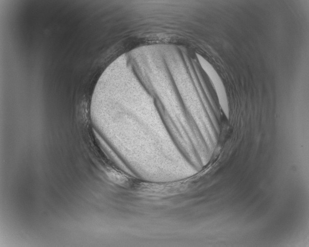 X0000072500045200608111639