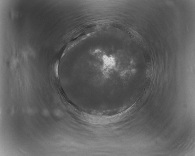 X0000072500047200608111639