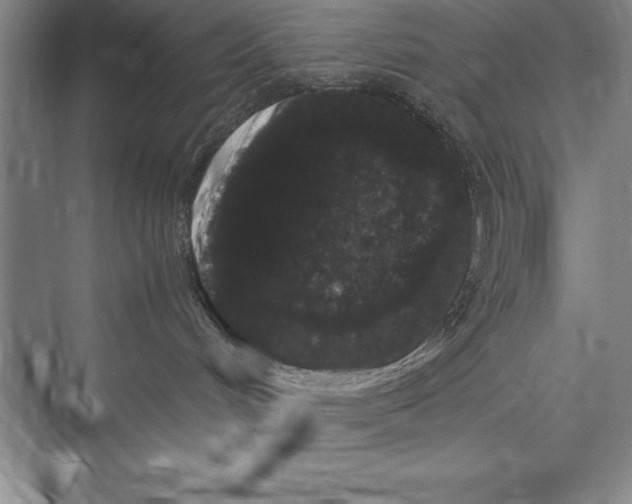 X0000072500048200608111639