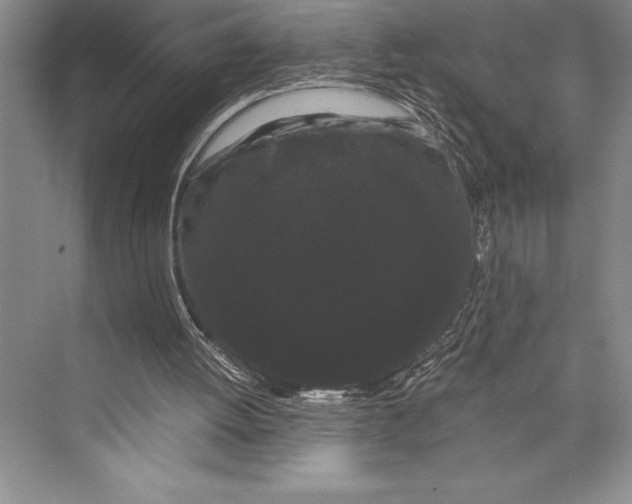 X0000072500052200608111639