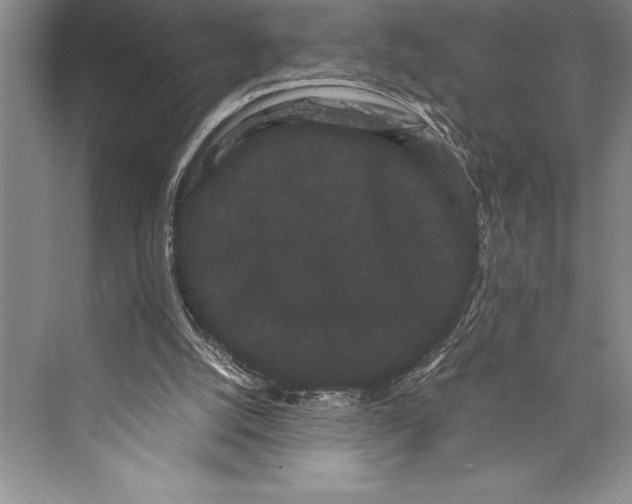 X0000072500056200608111639