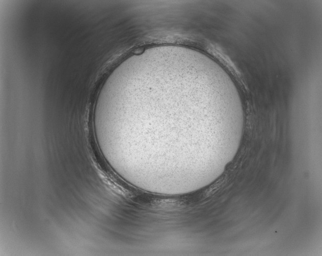 X0000072500058200608111639