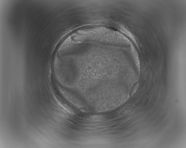 X0000072500059200608111639