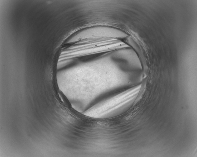 X0000072500060200608111639